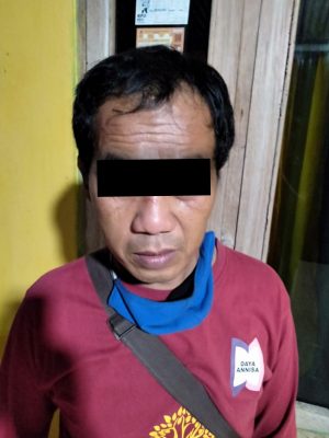 K korban penyiraman cabai