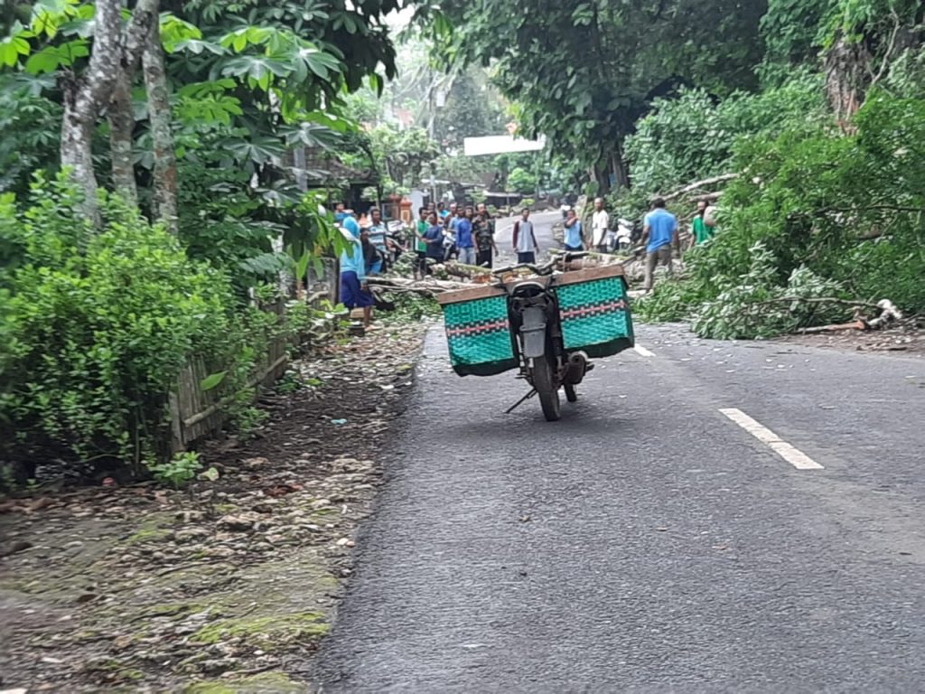 Pohon Resan Tumbang