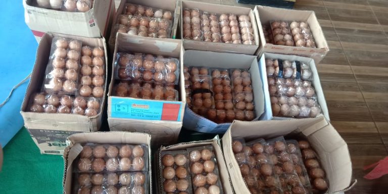 Telur Yag disinyalir hendak diedarkan saat masa tenang