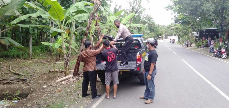 IMG 20210115 WA0031