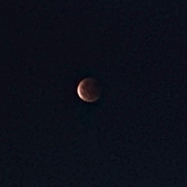IMG 20210526 WA0045