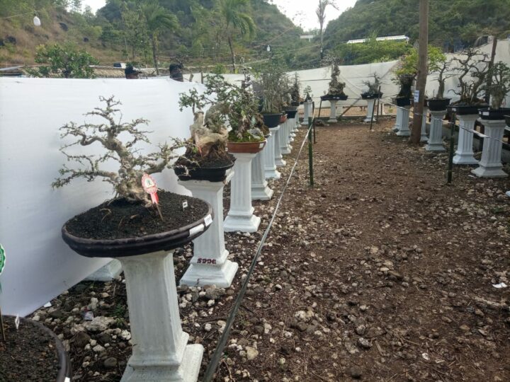 IMG 20210619 WA0025