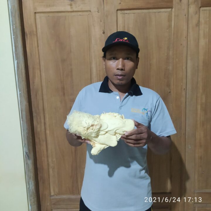 IMG 20210624 WA0025