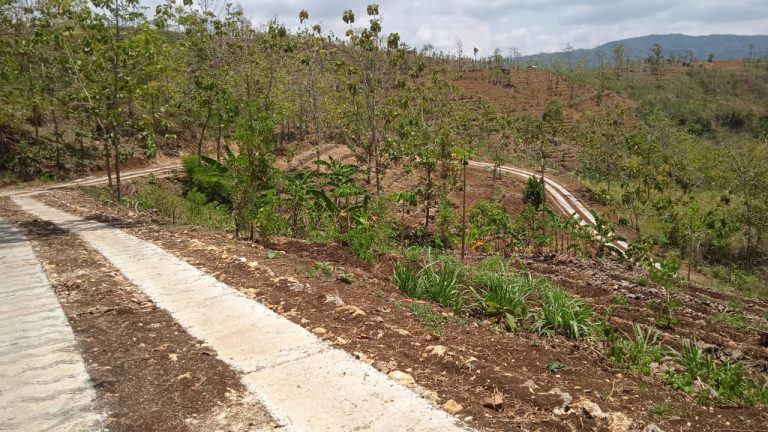 Jalan Tembus