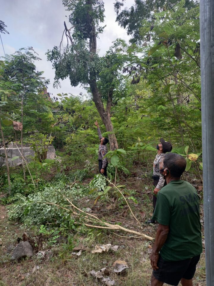Lokasi Korban Terjatuh