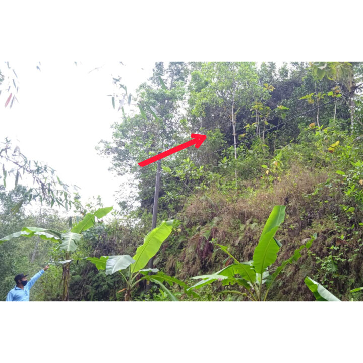 Batu Yang Rawan Longsor
