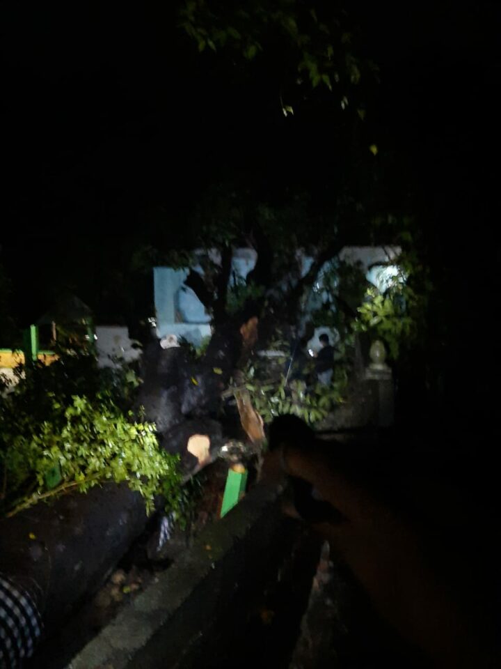 Pohon Tumbang Menimpa Rumah