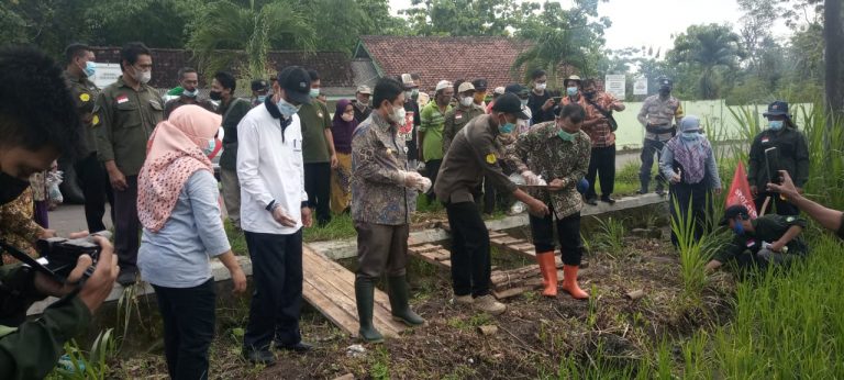 Gerakan Pengendalian Hama Tikus