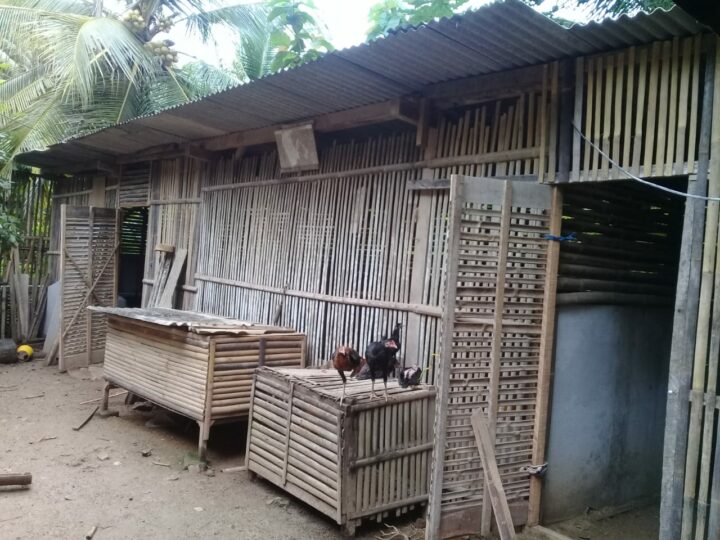 Kandang Ayam Joper