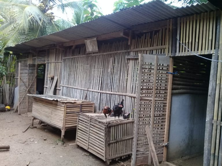 Kandang Ayam Joper
