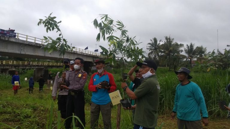 Konservasi Kalurahan Watusigar