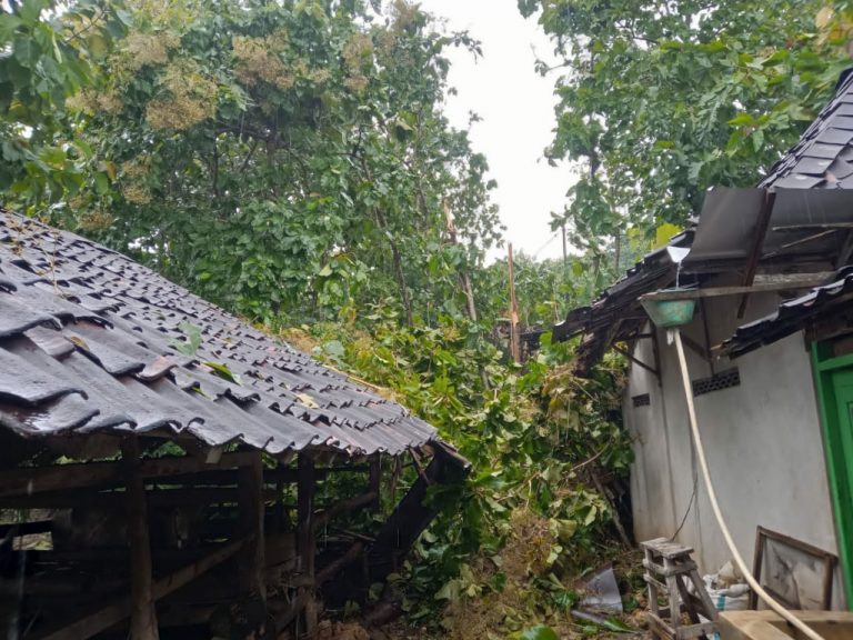 Panggang Hujan Deras Disertai Angin Kencang