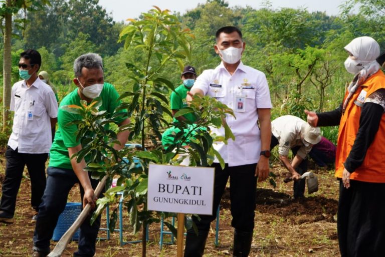 Penanaman Ribuan Pohon Alpukat Bersama Bupati Gunungkidul Sunaryanta