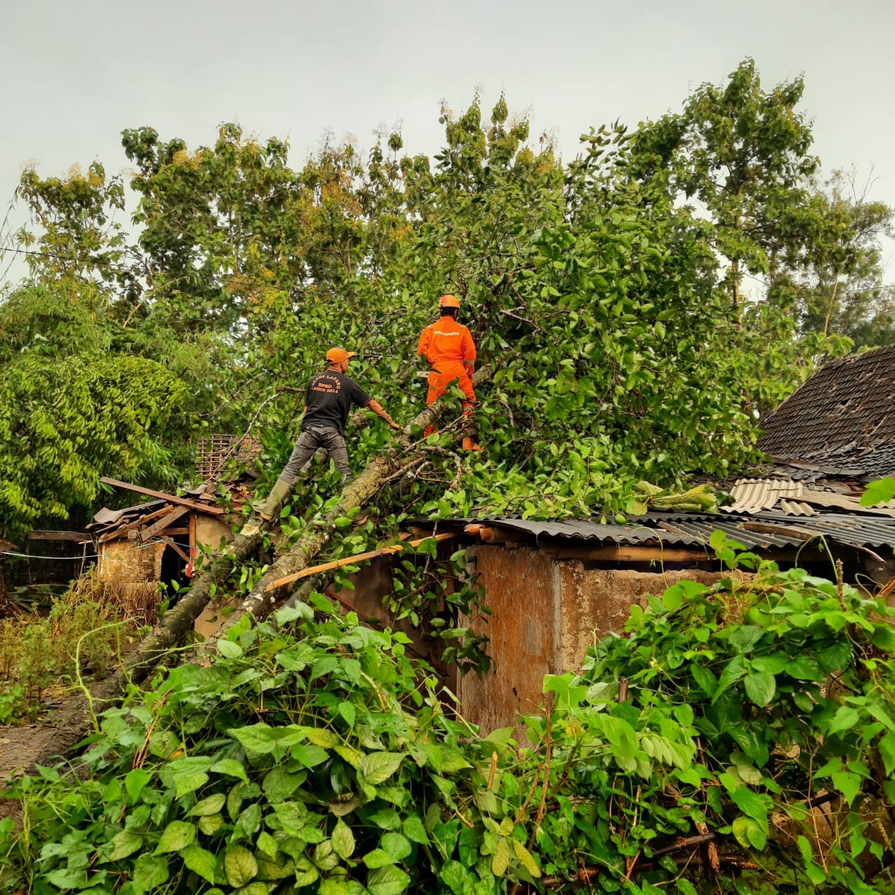Ratusan Rumah Dilaporkan Mengalami Kerusakan Di Mulusan