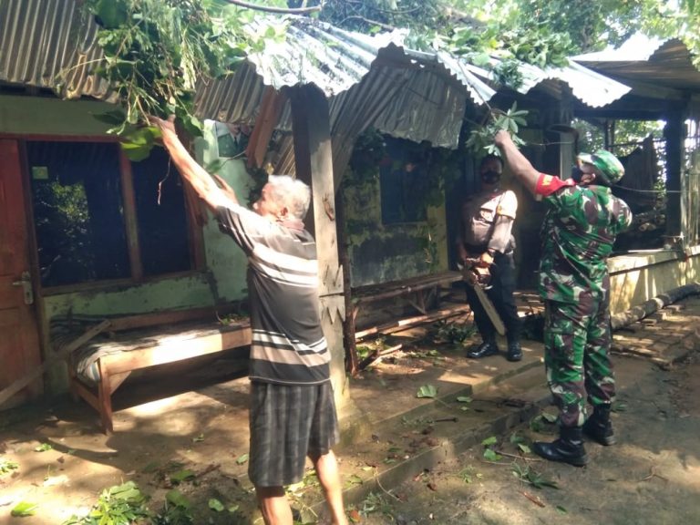 Rumah Mbah Minto Gedangsari Terimpa Pohon Randu