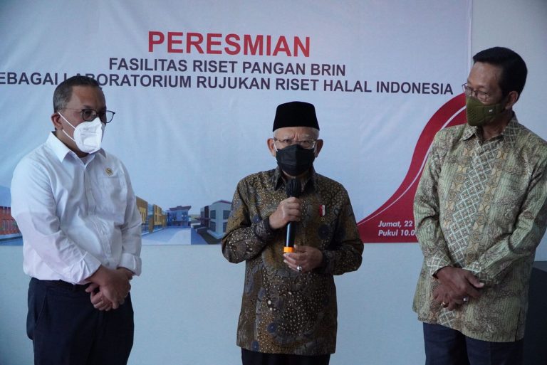 Wow Wapres Ma'ruf Amin Resmikan Fasilitas Riset Pangan BRIN Di Gunungkidul