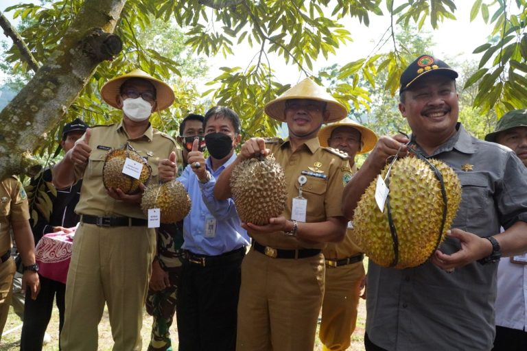 Bupati Dan Dirjen Hortikutura Kementan