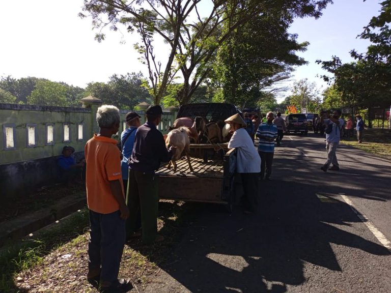 Blantik Di Pasar Hewan Siyono