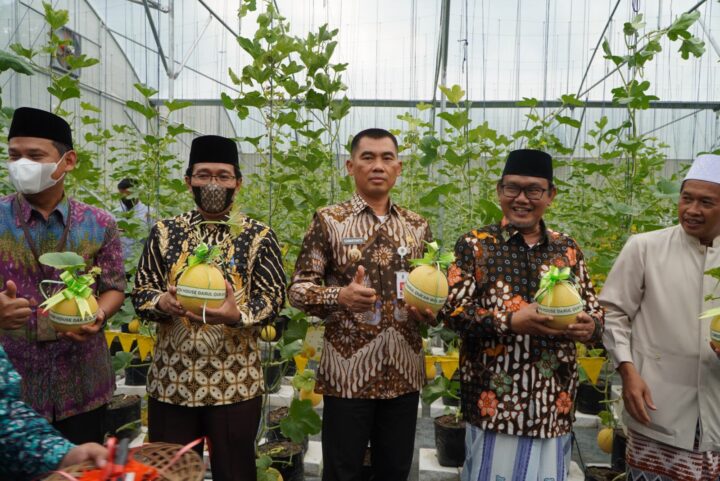 Bupati Panen Melon Di Ponpes Darul Quran