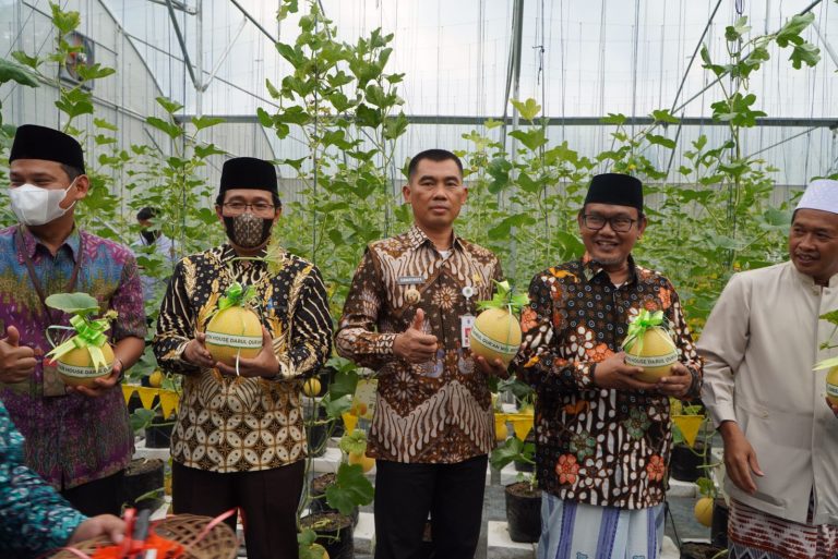 Bupati Panen Melon Di Ponpes Darul Quran