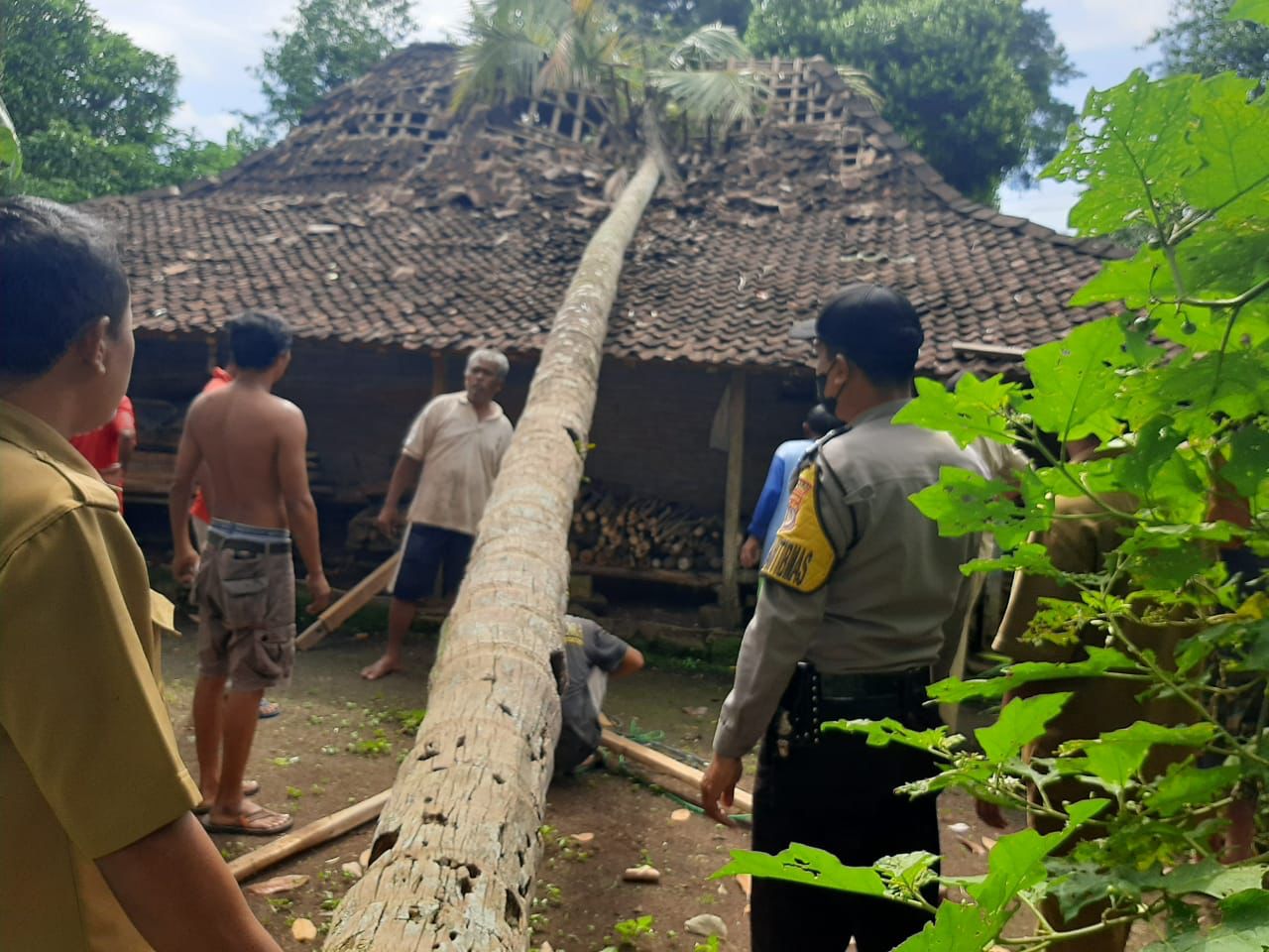 Evakuasi Pohon Tumbang