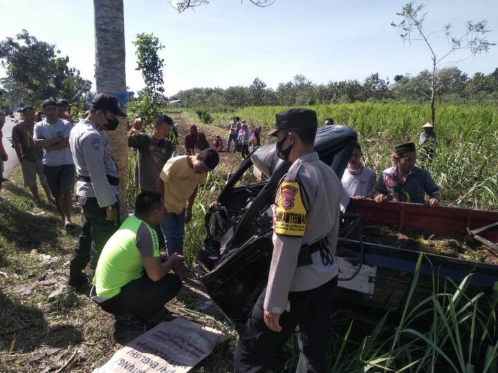 Kondisi Mobil Usai Nabrak Pohon