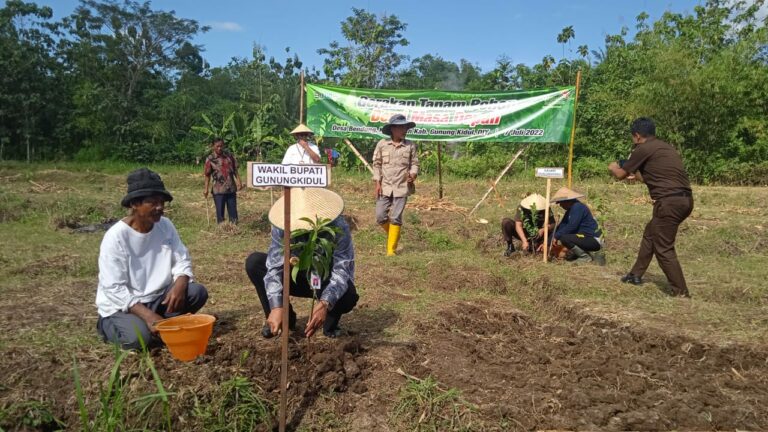Penanaman 1.000 Pohon CSR PT Telkom