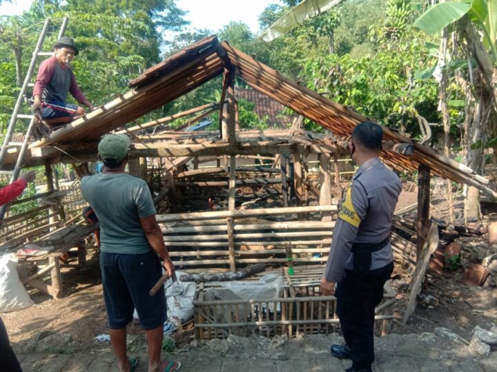 Lokasi Kandang Kebakaran