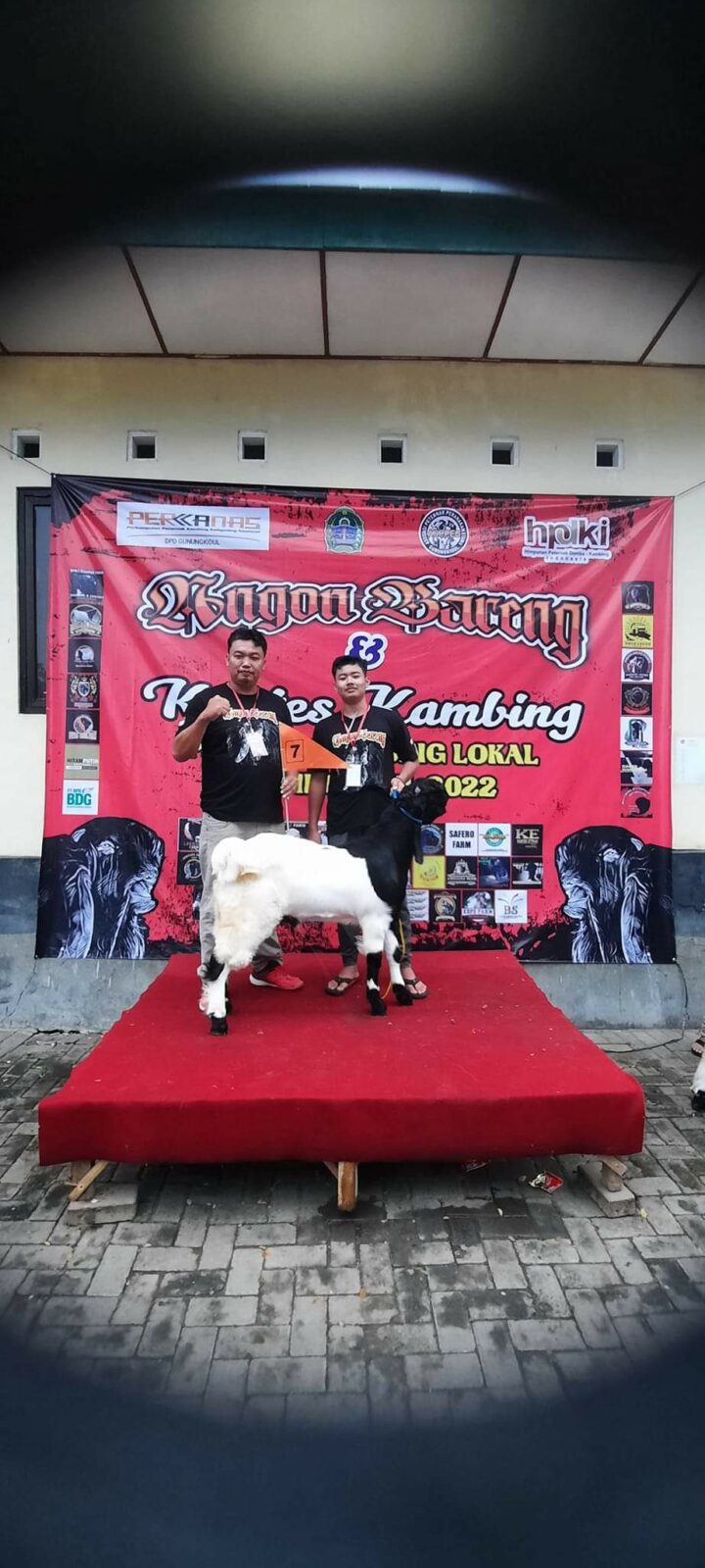 Angon Bareng Kambing PE Ras Kaligesing