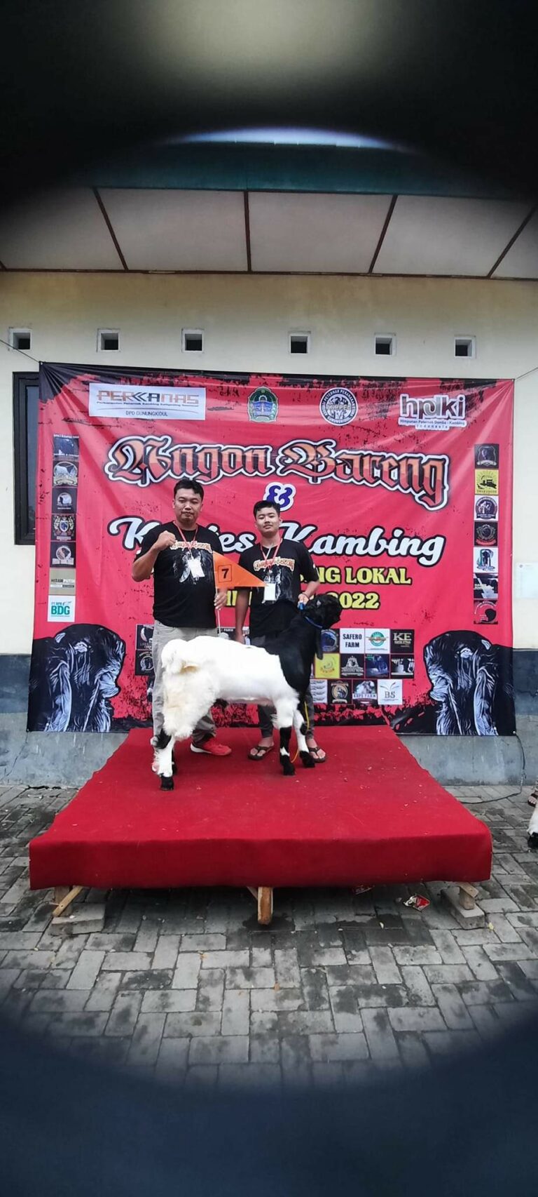 Angon Bareng Kambing PE Ras Kaligesing