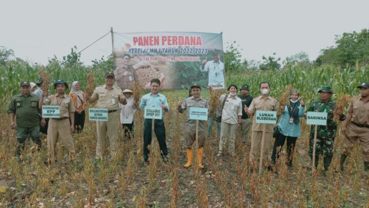 Panen Raya Kedelai