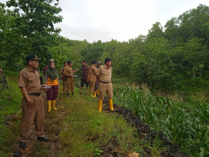 Wakil Bupati Saat Meninjau Ladang Warga