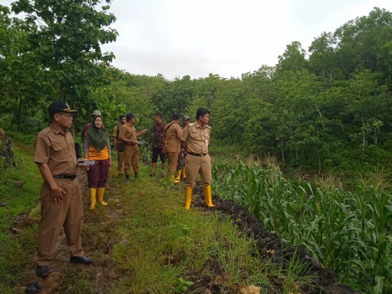 Wakil Bupati Saat Meninjau Ladang Warga