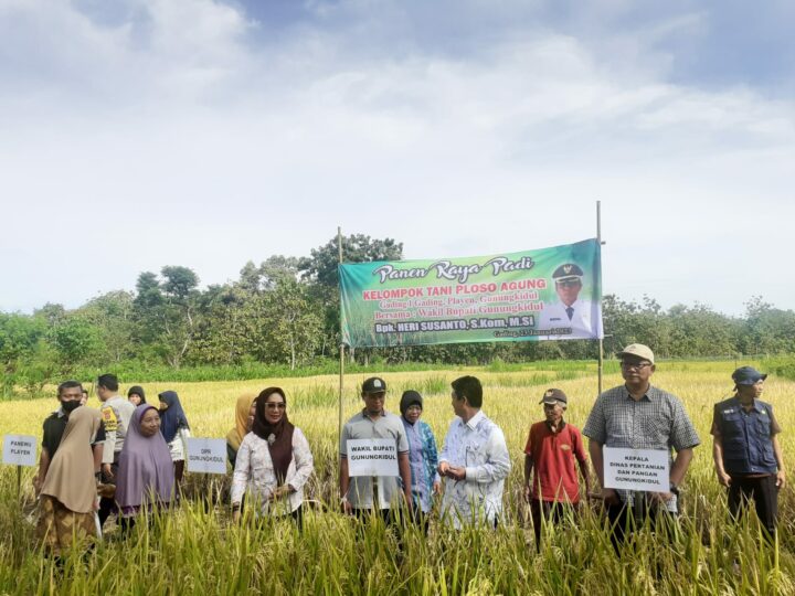 Panen Raya Poktan Ploso Agung