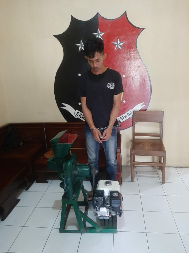 Pelaku Pencurian