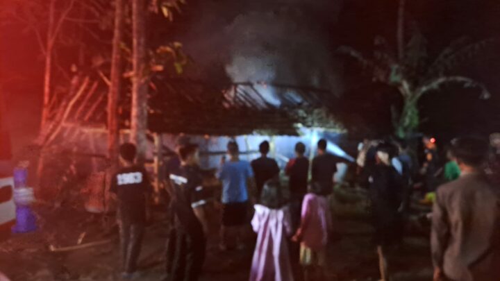 Dua Kandang Ternak Ludes Terbakar