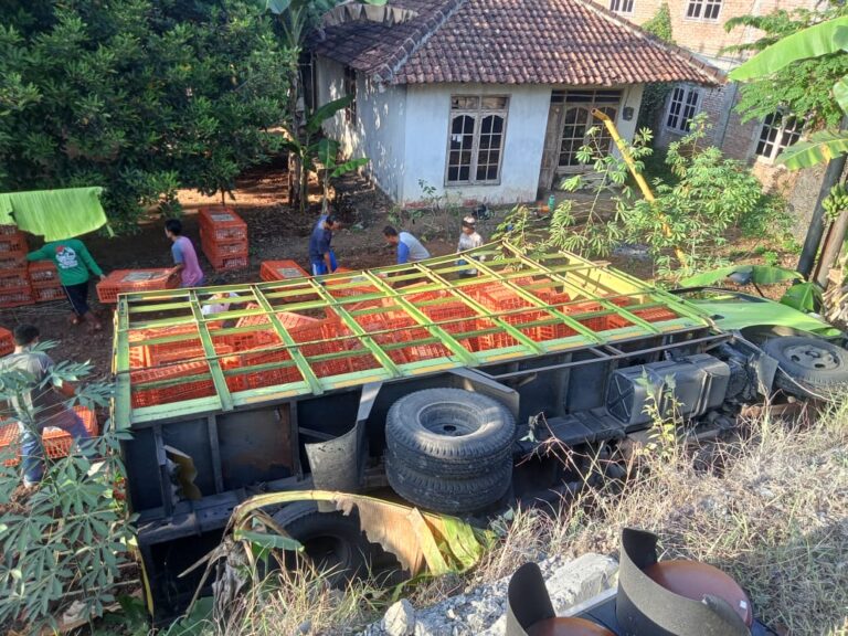 Laka Lantas Tunggal Truck Pengangkut Ayam