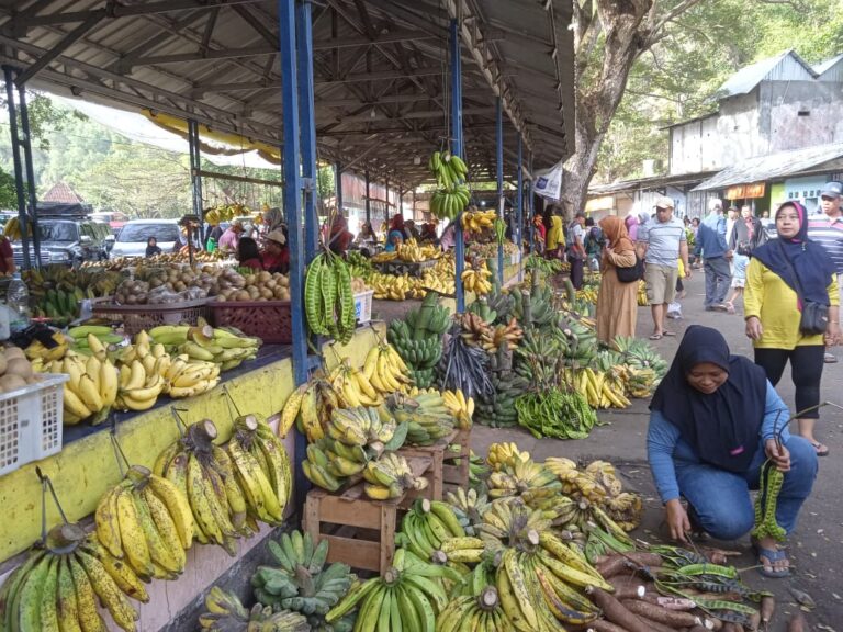 Hasil Panen Warga Lokal