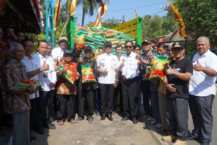 Pemberian Bantuan Benih Padi
