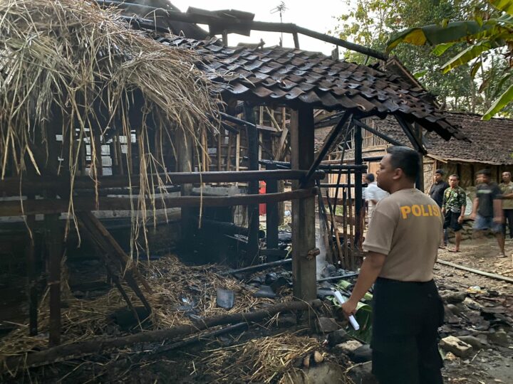 Kandang Sapi Terbakar
