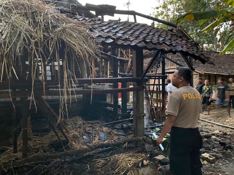 Kandang Sapi Terbakar