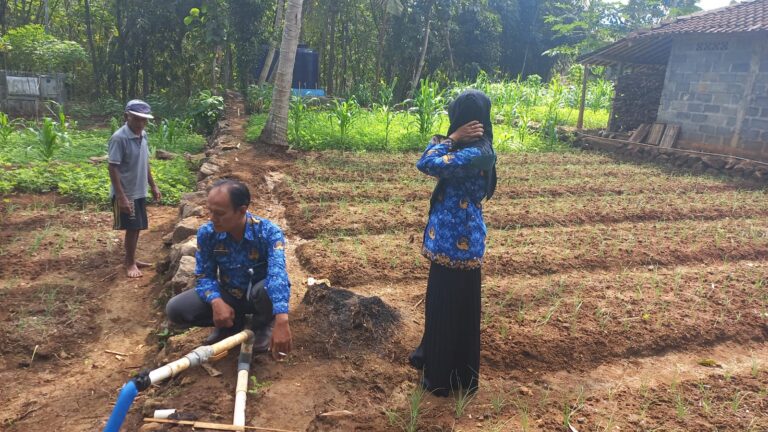Petani Bawang Memanfaatkan Pekarangan