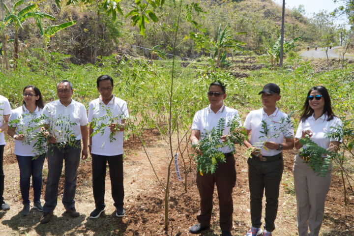 Program Pruning Green Economy