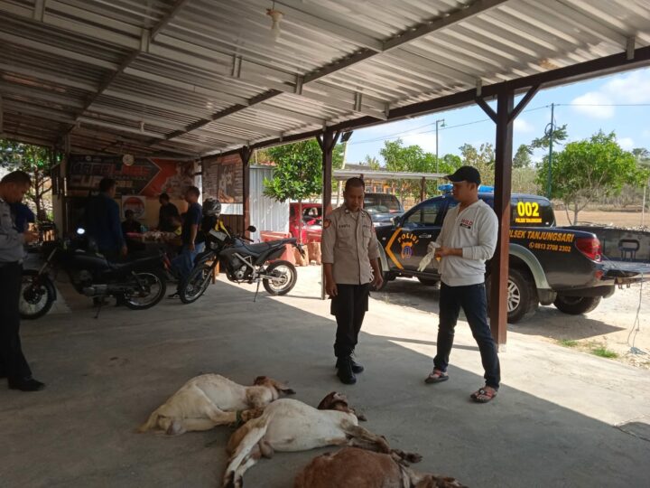 Pencurian Kambing