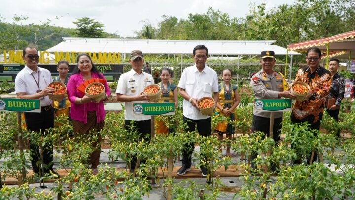 Lumbung Mataram