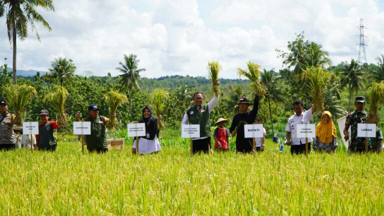 Panen Raya