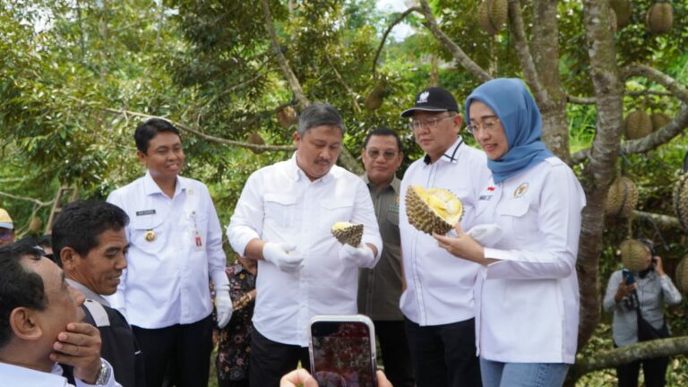Kunjungan Komisi IV DPR RI Ke Nglanggeran