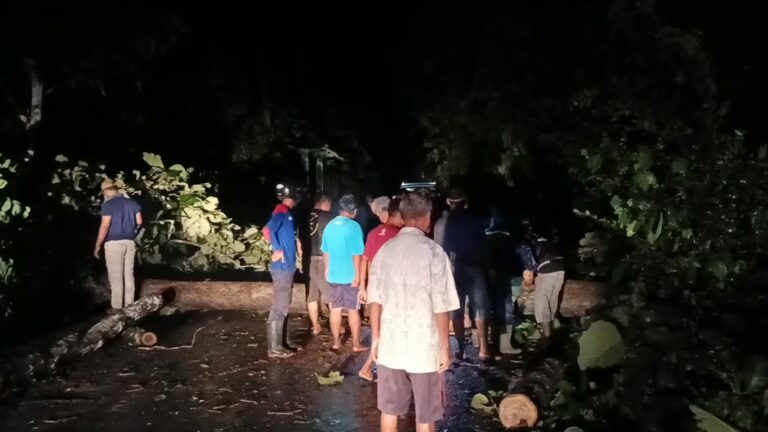 Evakuasi Pohon Tumbang