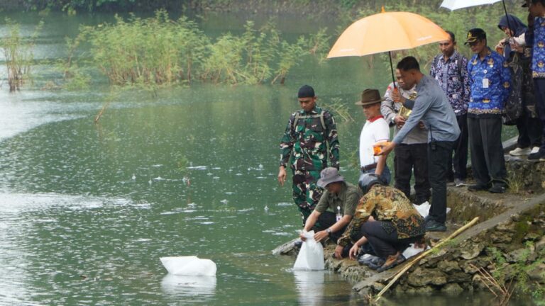 Tabur Benih Ikan