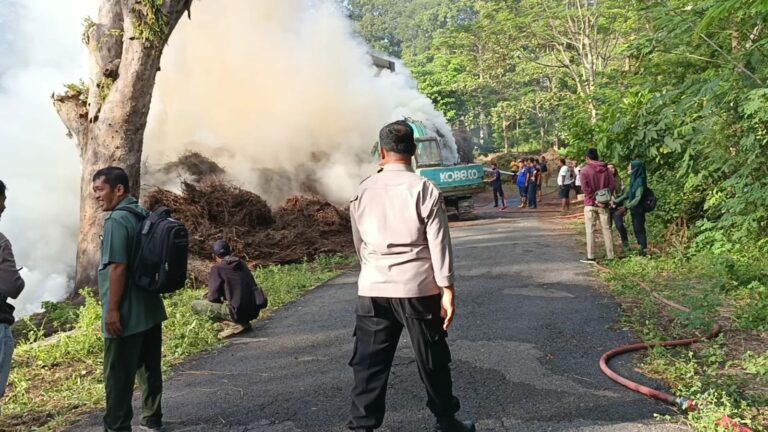 Kebakaran Penyulingan Minyak Kayu Putih